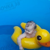 Купель утенок